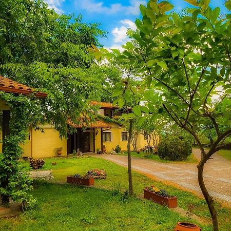 Villa Anthemia Náusza Imathíasz Kültér fotó