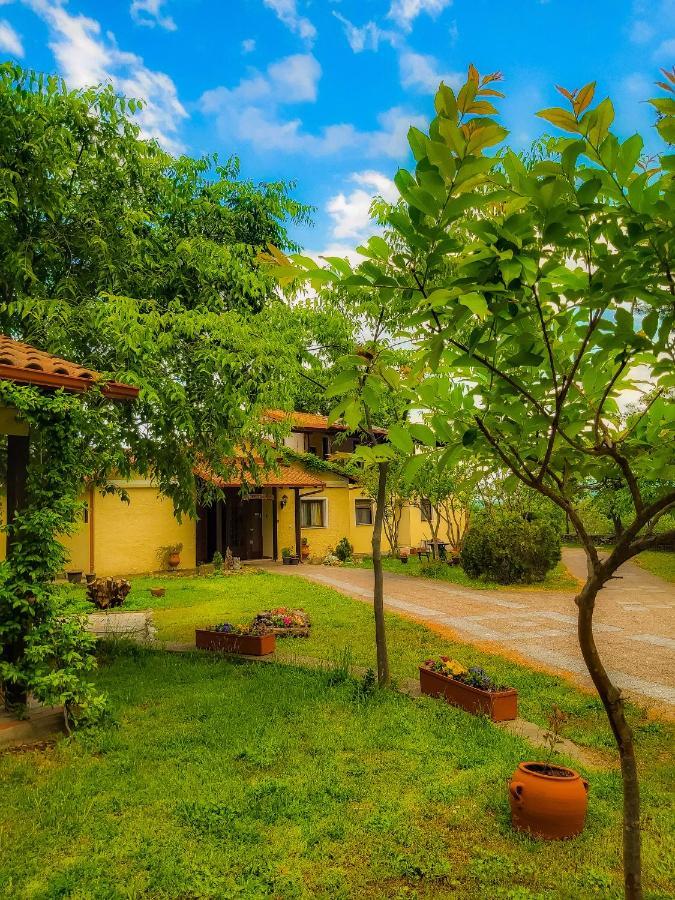 Villa Anthemia Náusza Imathíasz Kültér fotó