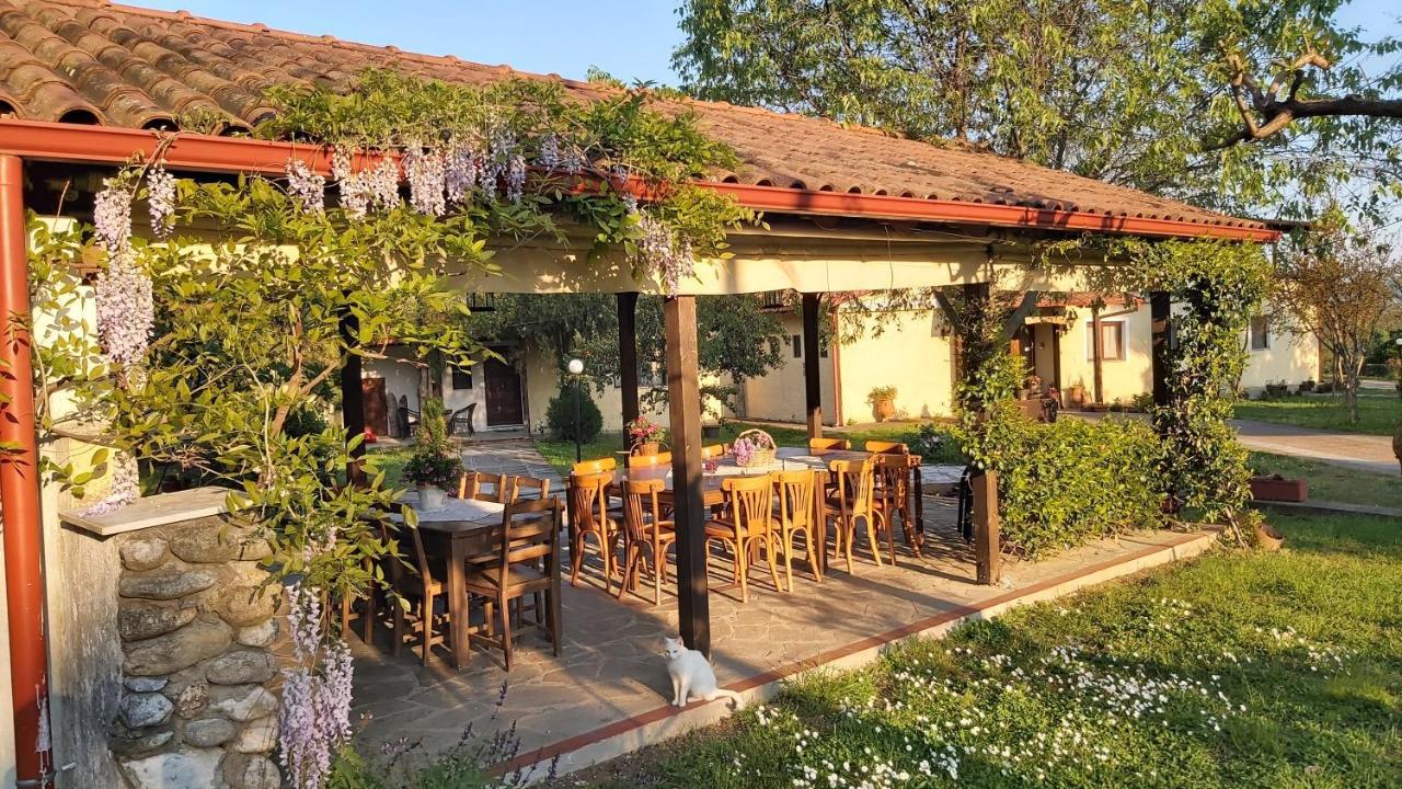 Villa Anthemia Náusza Imathíasz Kültér fotó